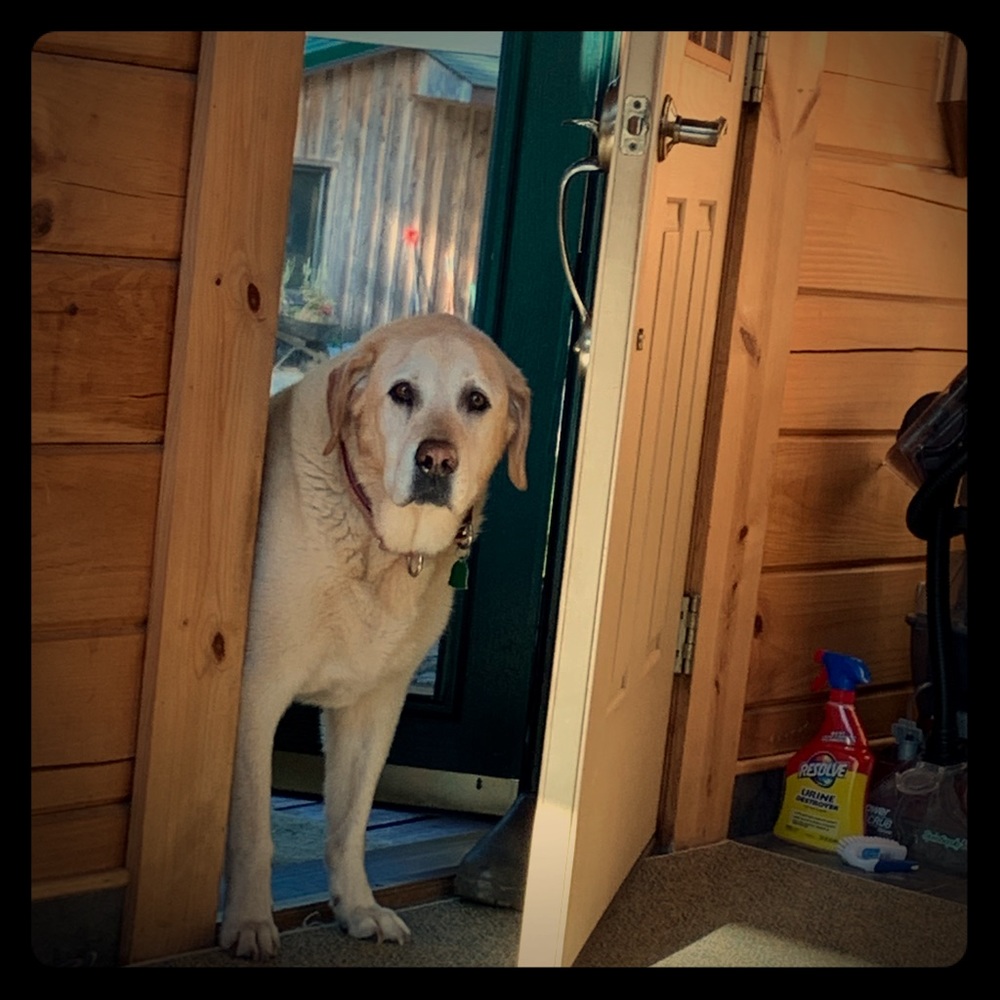 Meet your Posher, Peggy